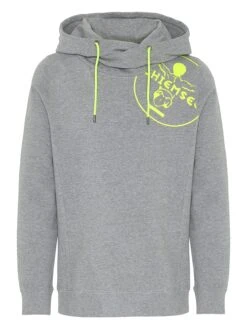 Chiemsee Hoodie In Grau