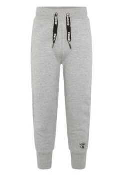 Chiemsee Sweathose In Grau